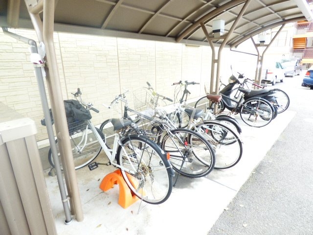 20/30 その他画像