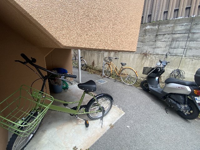 20/30 その他画像