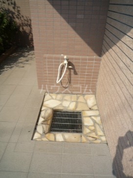 8/14 その他画像