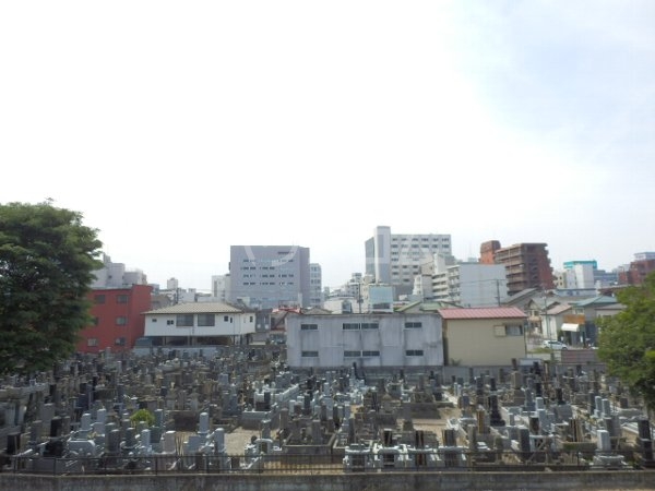 21/29 その他画像