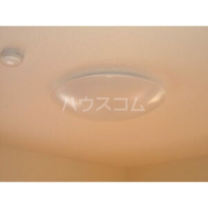 11/26 その他画像