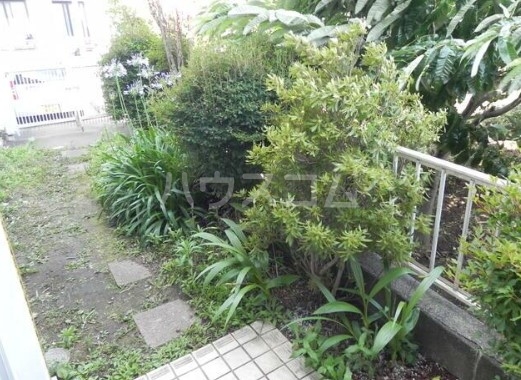 11/23 その他画像