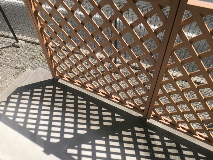 11/20 バルコニー