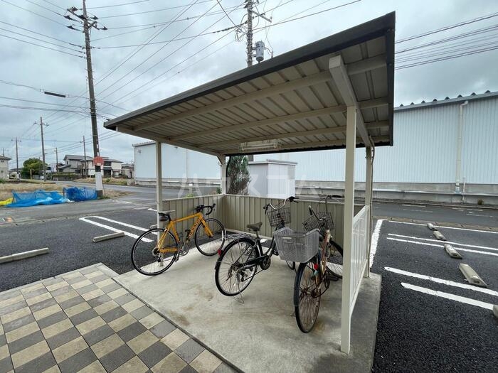 20/30 その他画像