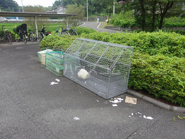 20/30 その他画像