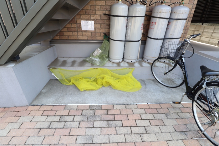 13/25 その他画像