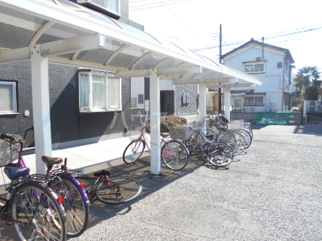 20/30 その他画像