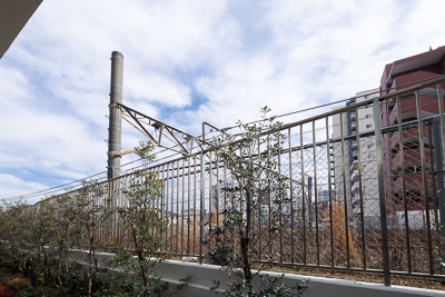 16/19 その他画像