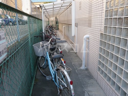 15/25 その他画像