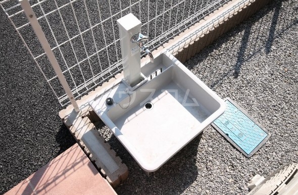 21/24 その他画像