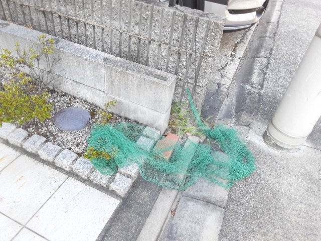 24/28 その他画像