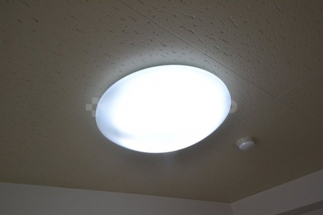 18/29 その他画像