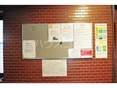 15/19 その他画像