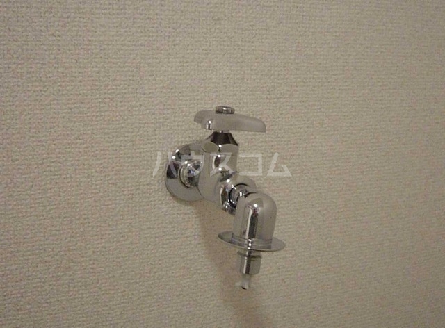 21/26 その他画像