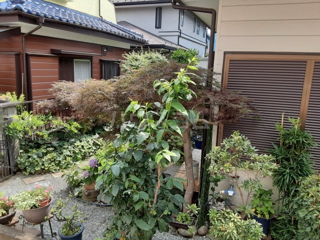 景色
