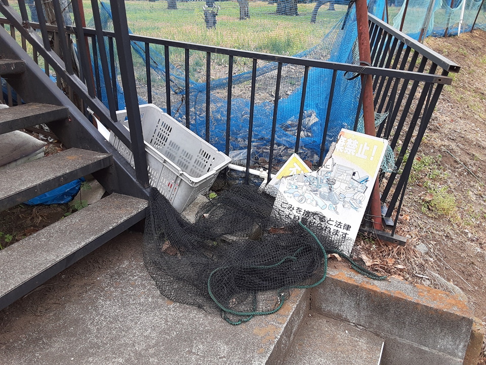 28/30 その他画像