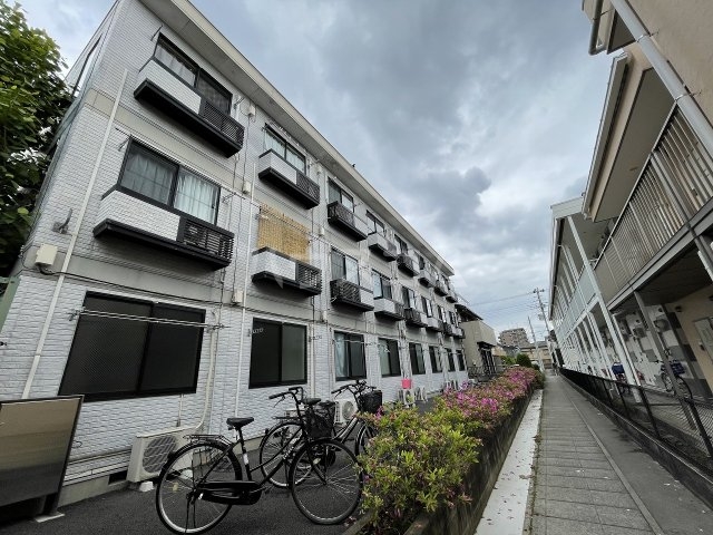 20/30 その他画像