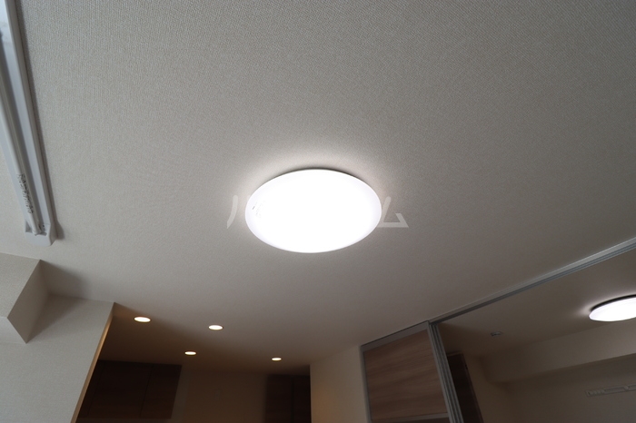 16/19 その他画像