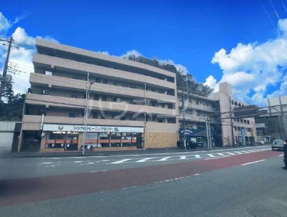 11/15 その他画像