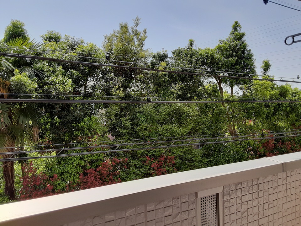 16/21 その他画像