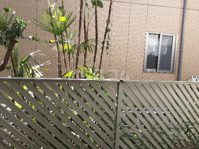 16/29 その他画像