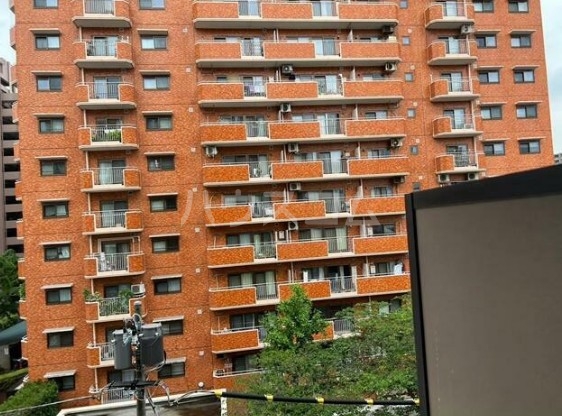 11/22 その他画像