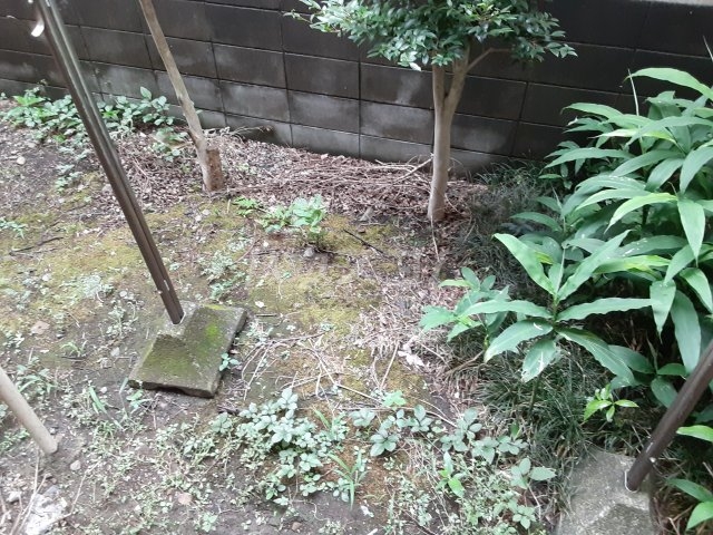 14/24 バルコニー