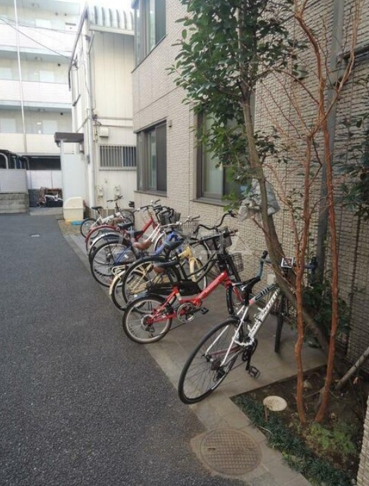 14/19 その他画像