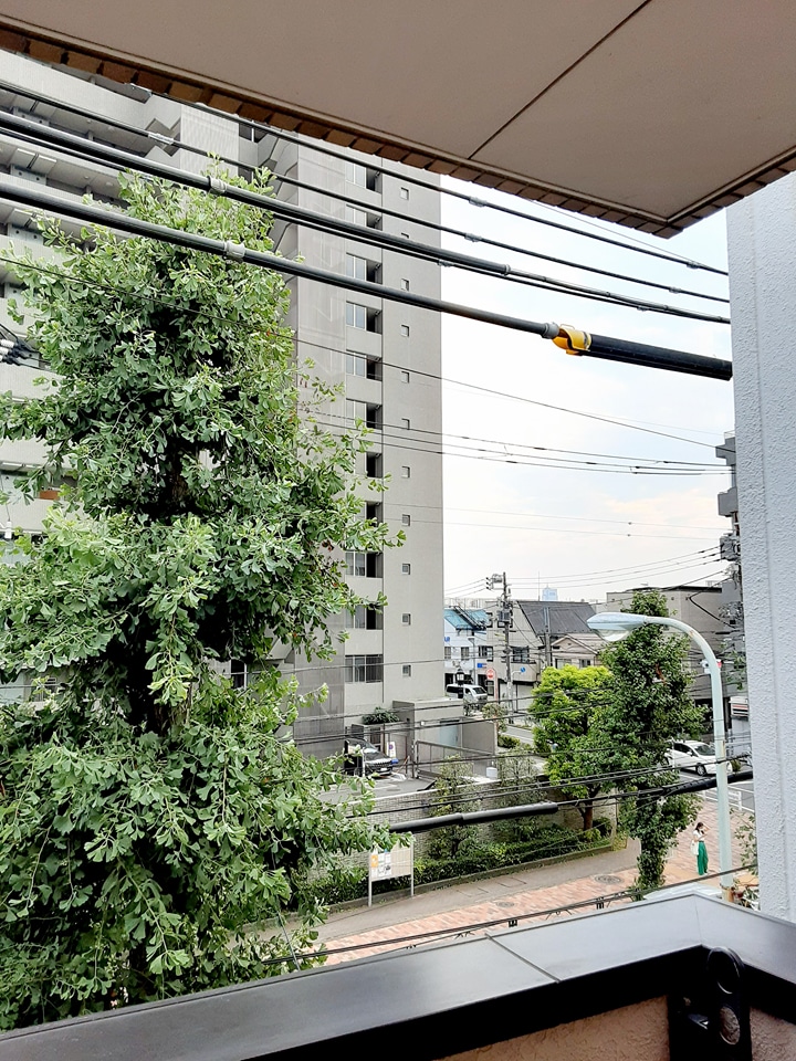 21/30 その他画像