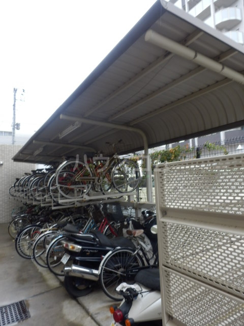 15/30 その他画像