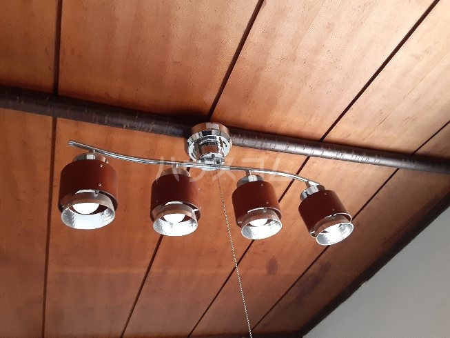 24/29 その他画像