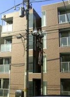 その他共有