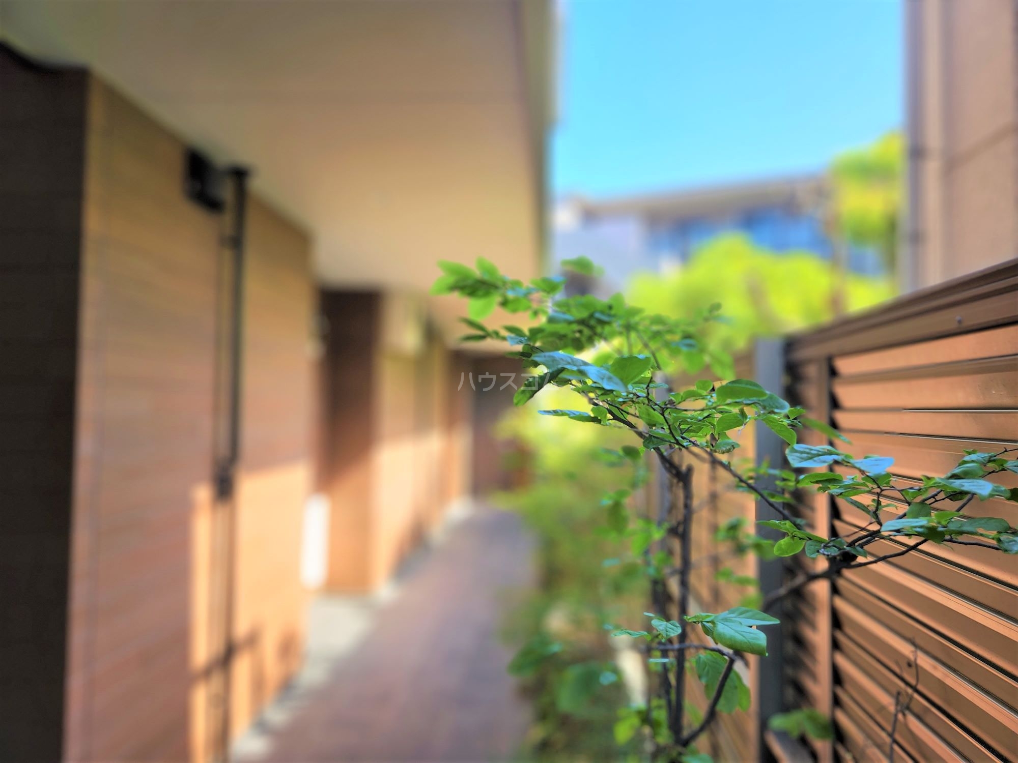 26/30 その他画像