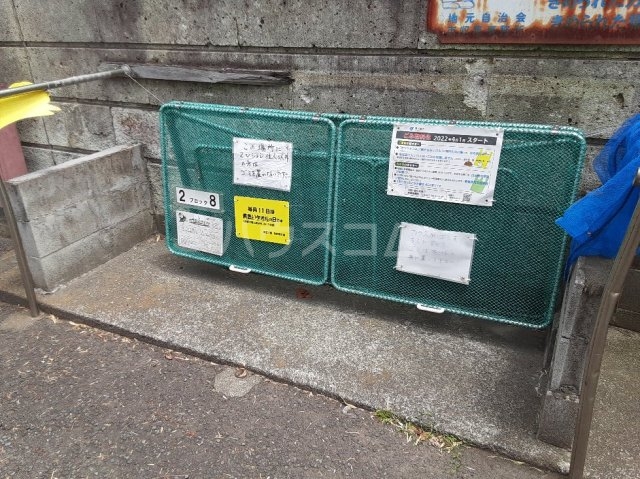 20/30 その他画像