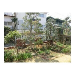 12/18 その他画像