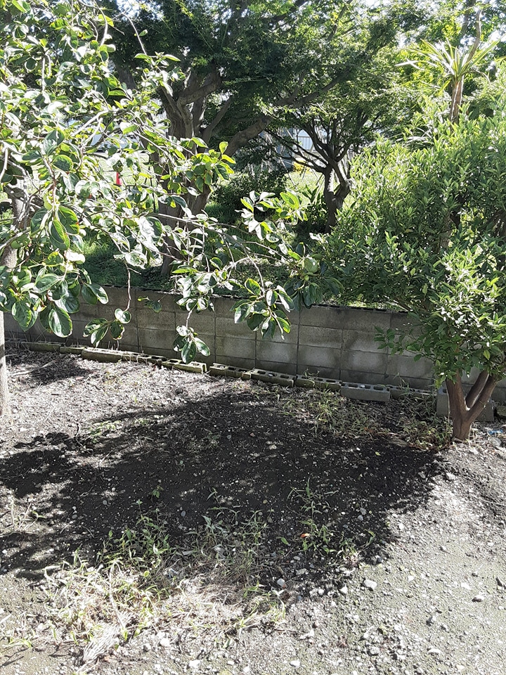 15/28 その他画像