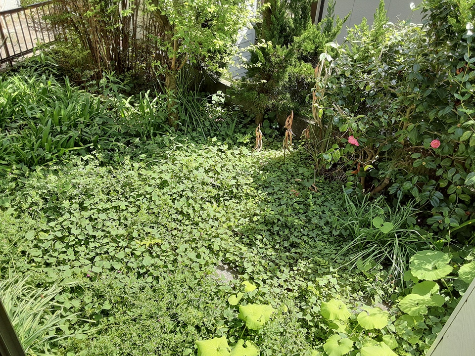 21/25 その他画像