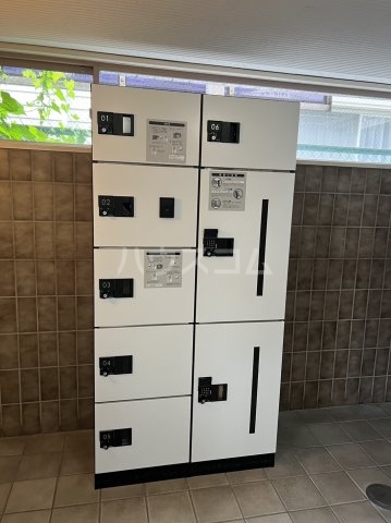 20/30 その他画像