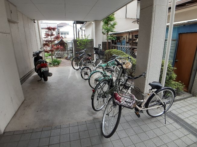 20/30 その他画像