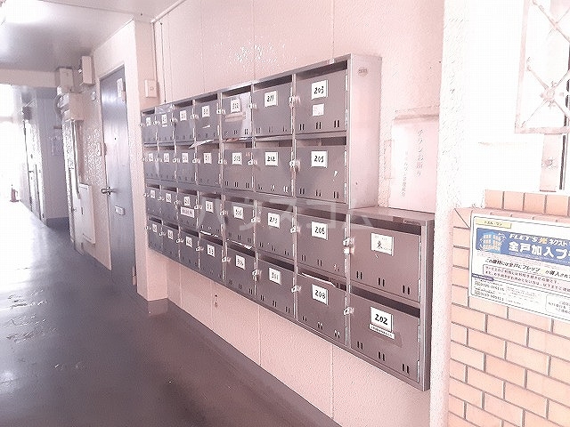 21/29 その他画像