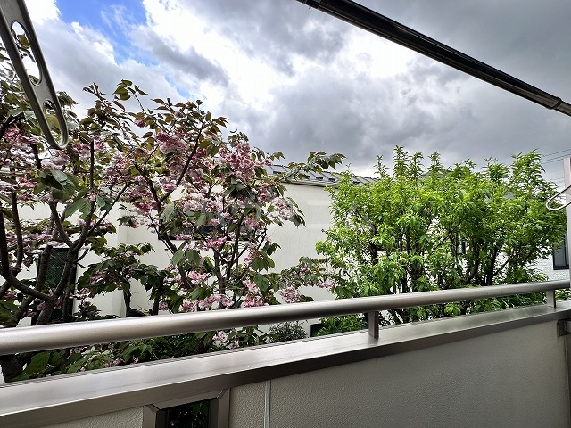 16/29 その他画像