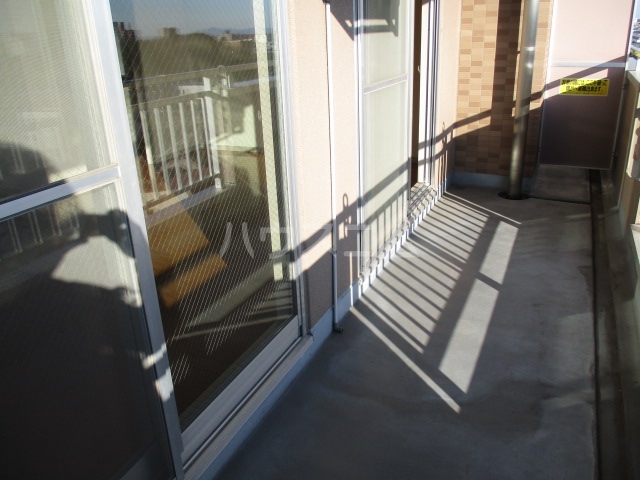 17/29 その他画像