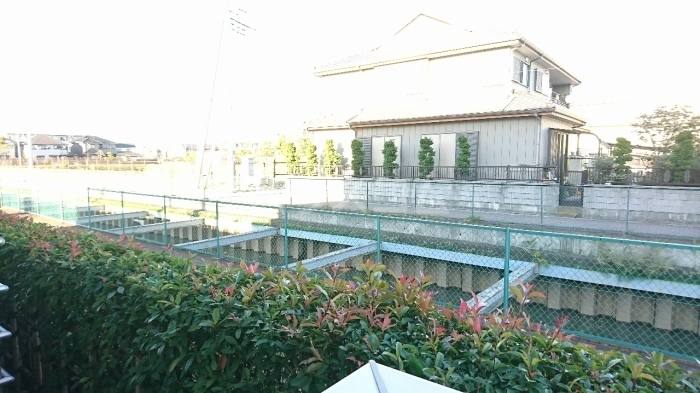 15/30 その他画像