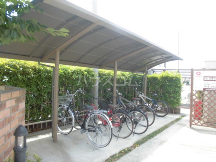 8/19 その他画像