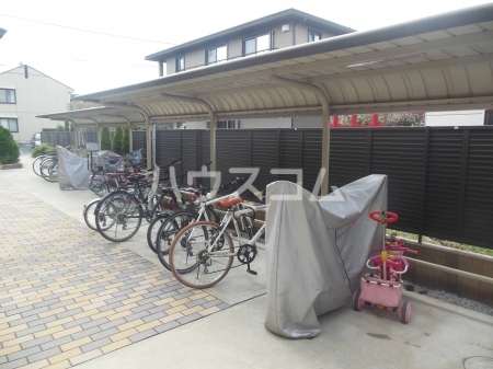 6/17 その他画像