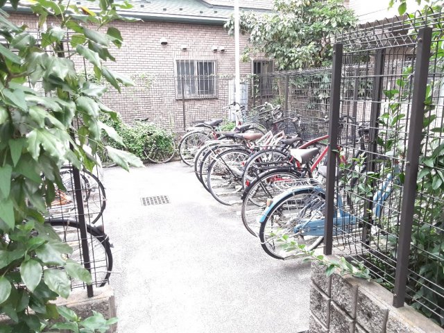 20/30 その他画像