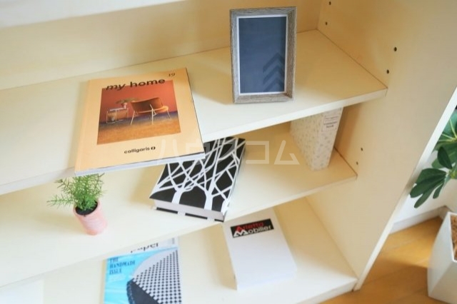 20/30 その他画像