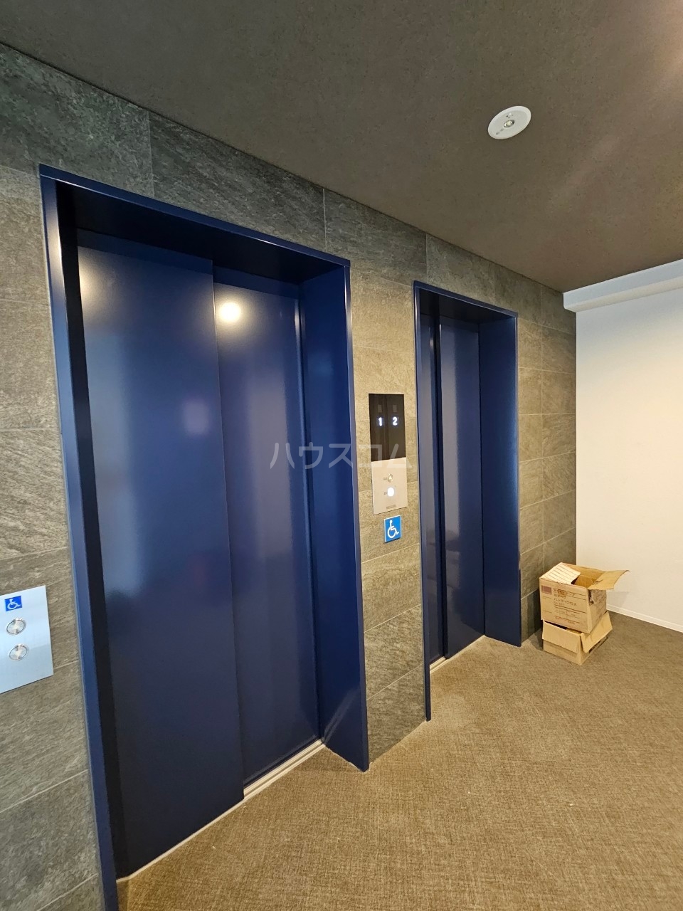 15/25 その他画像