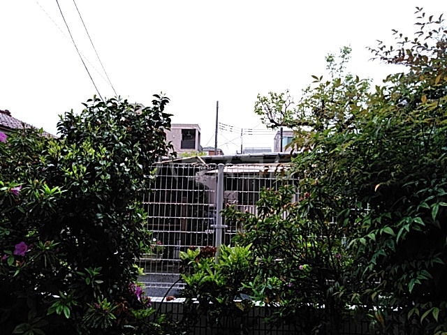 21/26 その他画像