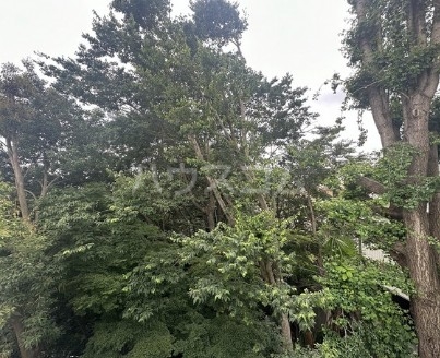 13/25 その他画像